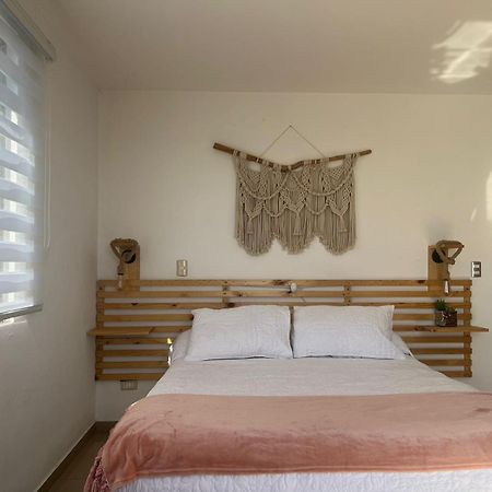 Casa Agustina Concon Bed & Breakfast Dış mekan fotoğraf